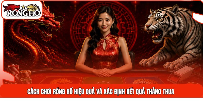 Cách chơi Rồng Hổ hiệu quả và xác định kết quả thắng thua