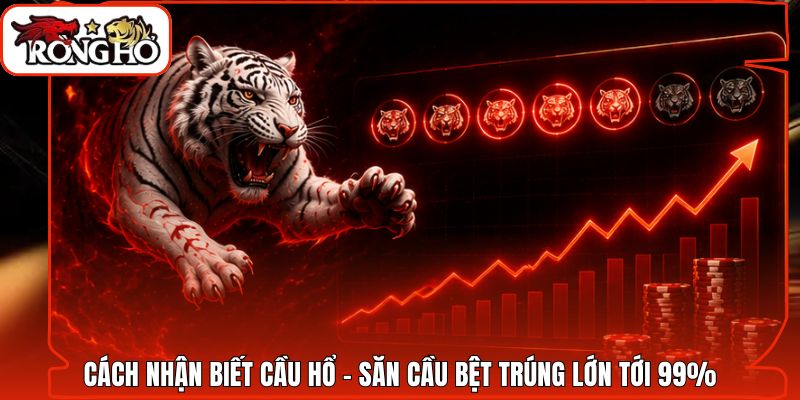 Cách Nhận Biết Cầu Hổ - Săn Cầu Bệt Trúng Lớn Tới 99%