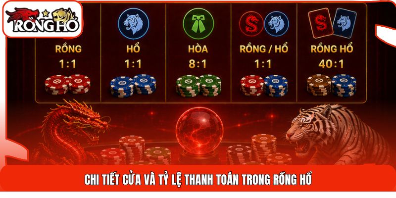 Chi tiết cửa và tỷ lệ thanh toán trong Rồng Hổ