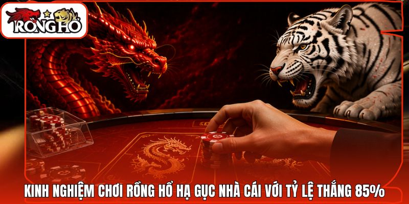 Kinh Nghiệm Chơi Rồng Hổ Hạ Gục Nhà Cái Với Tỷ Lệ Thắng 85%