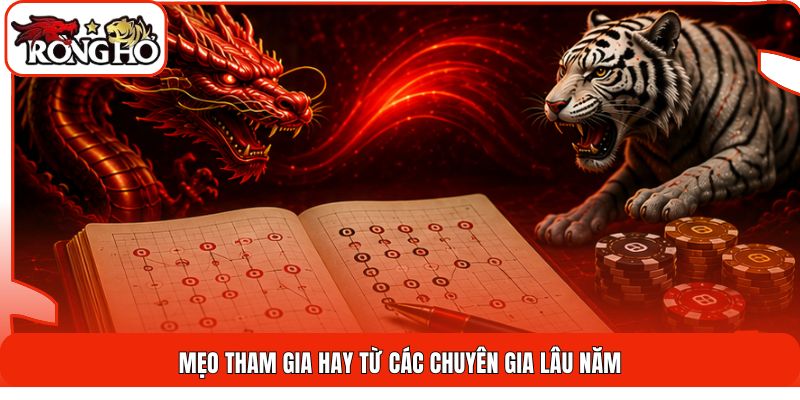 Mẹo tham gia hay từ các chuyên gia lâu năm