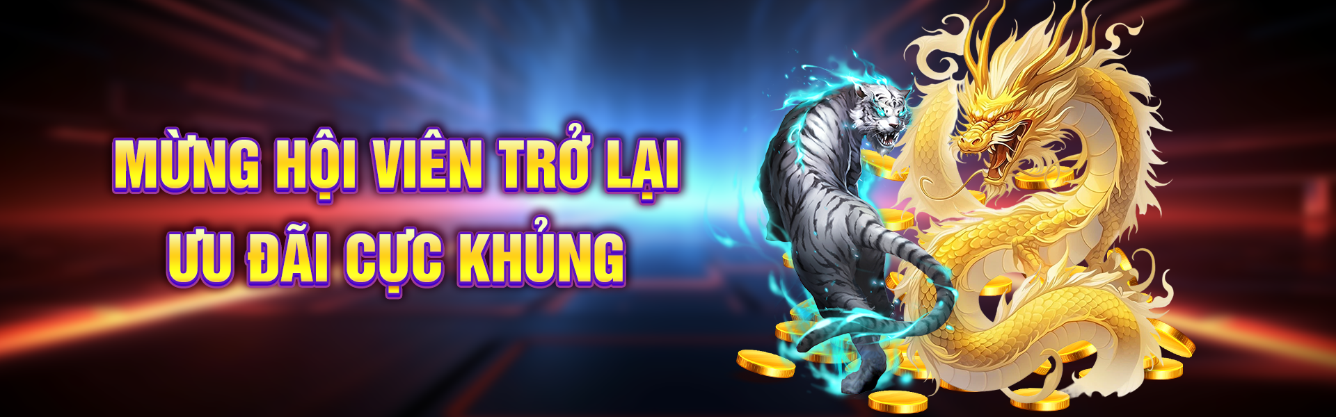 banner rồng hổ