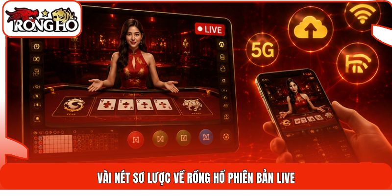 Vài nét sơ lược về rồng hổ phiên bản live